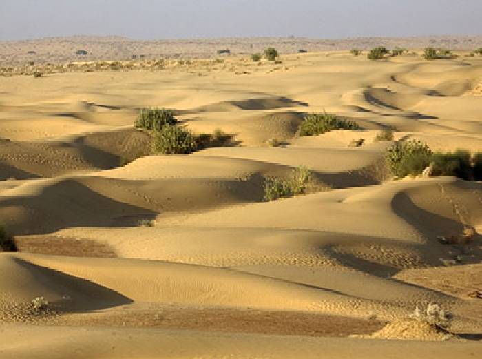 budget camp in Jaisalmer